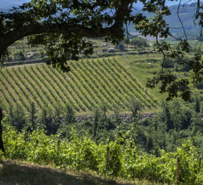 Il Nido Di Montebuoni Villa Gaiole in Chianti Eksteriør billede